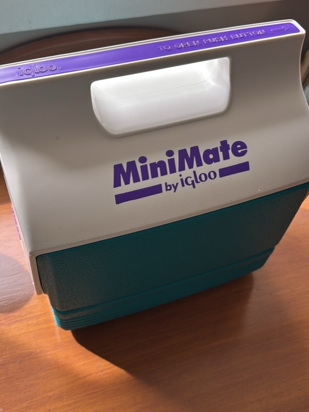 90’s igloo MiniMate Portable Cooler - Teal and White